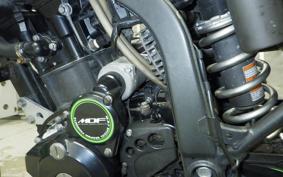 KAWASAKI KLX250D TRACKER X 2019 LX250V