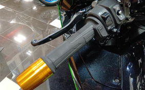 KAWASAKI NINJA ZX 14 R 2014 ZXT40E