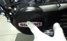 SUZUKI TS185 2017