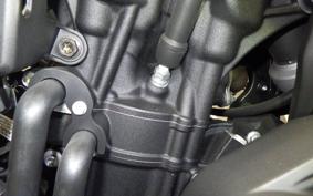 HARLEY RH1250S 2024