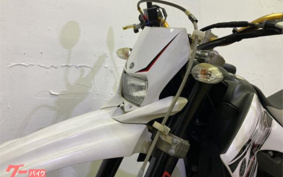 YAMAHA WR250X DG15J