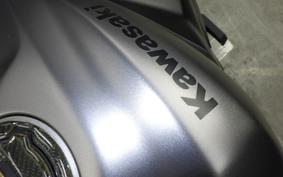 KAWASAKI ZX-4R SE 2025 ZX400P