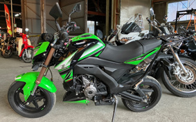 KAWASAKI Z125 PRO KRT BR125HGFA