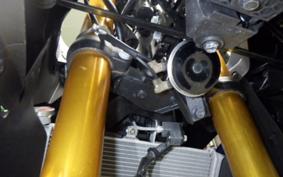YAMAHA YZF-R25 A 1994 RG95J