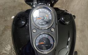 HARLEY FXLRS1870 2021 YWK