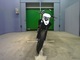 Фото Husqvarna SMR449 2011 с японского аукциона