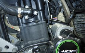 KAWASAKI KLX250D TRACKER X 2019 LX250V