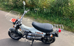 SUZUKI VAN VAN75 RV75