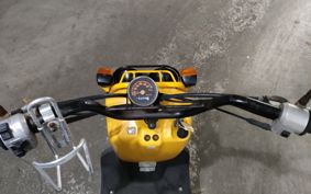 HONDA ZUMAR AF58
