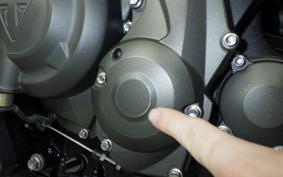 TRIUMPH TIGER 660 SPORTS 2025