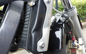 HONDA HORNET 250 MC31