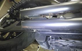 HARLEY XL1200NS 2020