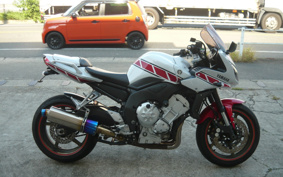 YAMAHA FZ1 FAZER 2010 RN21J