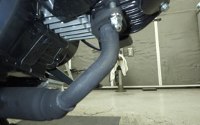 HONDA DAX 125 2026 JB04
