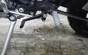 DUCATI MONSTER 1100 EVO 2013