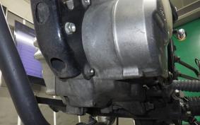 HONDA APE 100 HC07