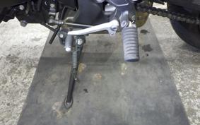 KAWASAKI Z900RS CAFE 2023 ZR900K
