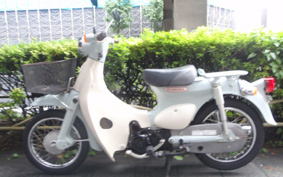 HONDA LITTLE CUB AA01