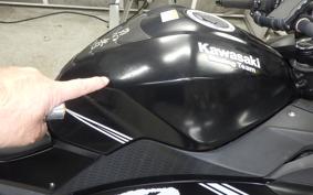 KAWASAKI NINJA 250 2010 EX250L