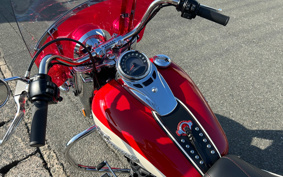 HARLEY FLI HYDRA-GLIDE 2024 BCK