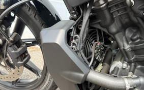 HARLEY RH975 NIGHT STAR 2023 ZH1