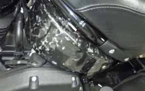 HARLEY FXLRS1920 2024