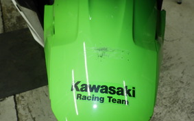 KAWASAKI NINJA 400 2020 EX400G
