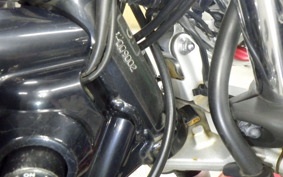 YAMAHA DRAGSTAR 250 2025 VG05J