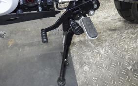 BMW G310GS