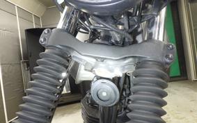 OTHER MUTT250 2024