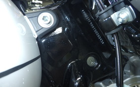 HARLEY FLFB1920 2026