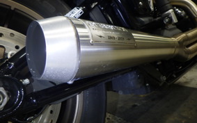 HARLEY FXLRS1870 2020