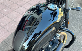 TRIUMPH SCRAMBLER 2024 DAD78G