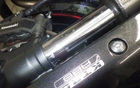 KAWASAKI NINJA 1000SX 2020 ZXT02K