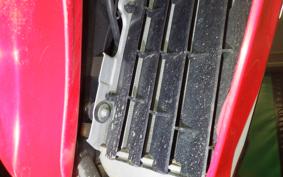 HONDA CRF250 RALLY A 2009 MD44