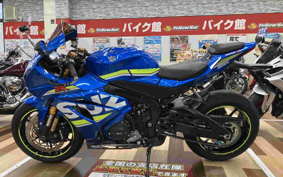 SUZUKI GSX-R1000R 2017 DM11G