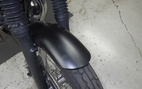 KAWASAKI W800 STREET 2019 EJ800B