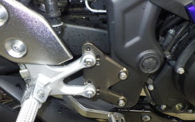 YAMAHA YZF R-3 2019 RH13J