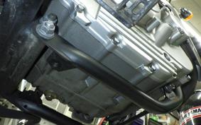 YAMAHA TRICKER 2011 DG10J