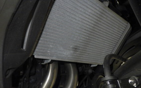 HONDA CBR400R 2024 NC65