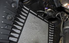 YAMAHA MT-25 A RG74J
