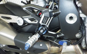 BMW S1000R 2021
