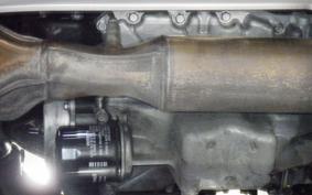 KAWASAKI NINJA 1000SX 2024 ZXT02K