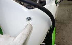 KAWASAKI KLX230R S 2019 LX230F