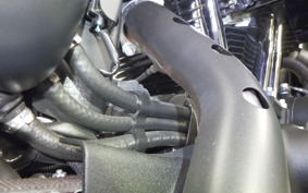 HARLEY XL883N 2020