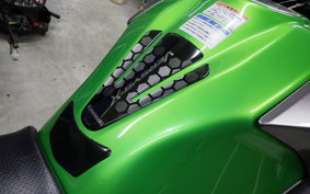KAWASAKI VERSYS 250 A 2025 LE250D