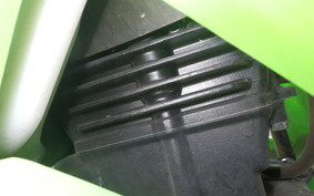 KAWASAKI NINJA 250R EX250K