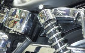 HARLEY FXDLI 1450 2021