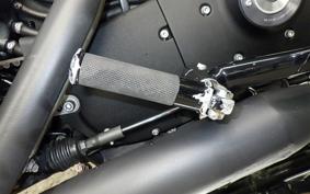 HARLEY XL883N 2016