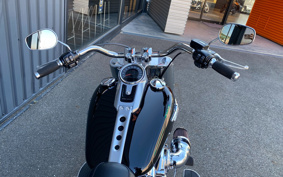 HARLEY FLFBS 2017 YGK